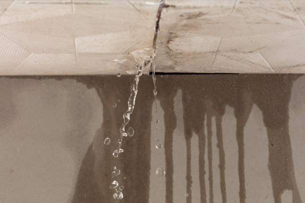 Professional Burst Pipe Cleanup technician working in Lynn Haven, FL